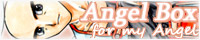 Angel Box`for my Angel